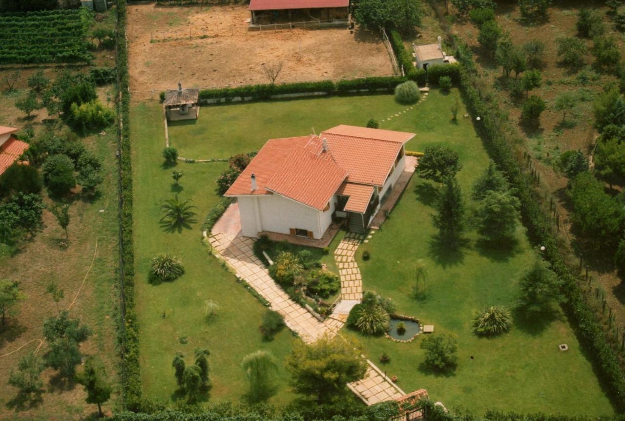 B&B Villa Sans Souci Чивітавекк'я Екстер'єр фото
